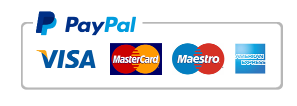 How PayPal Works